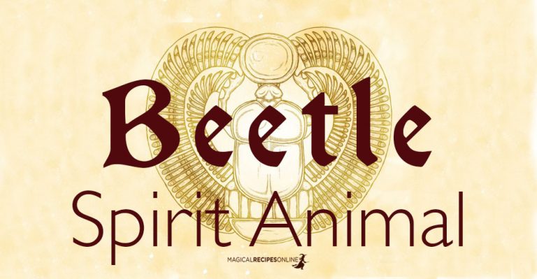 The Beetle Spirit Animal