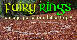Fairy Rings: A magic portal or a lethal trap?