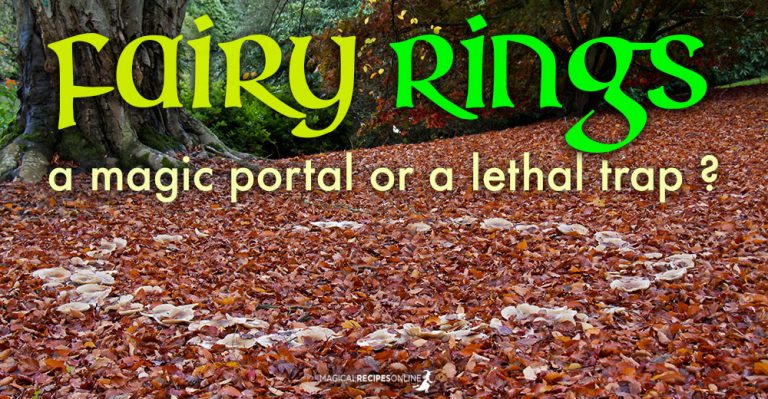 Fairy Rings: A magic portal or a lethal trap?