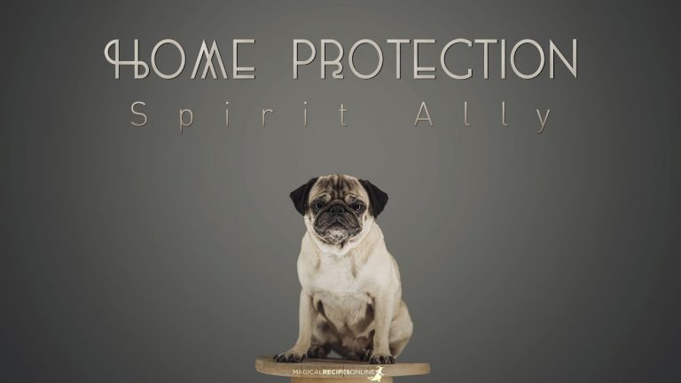 Home Protection Spirit Ally