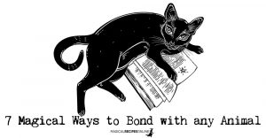 7 Magical Ways to Bond with any Animal