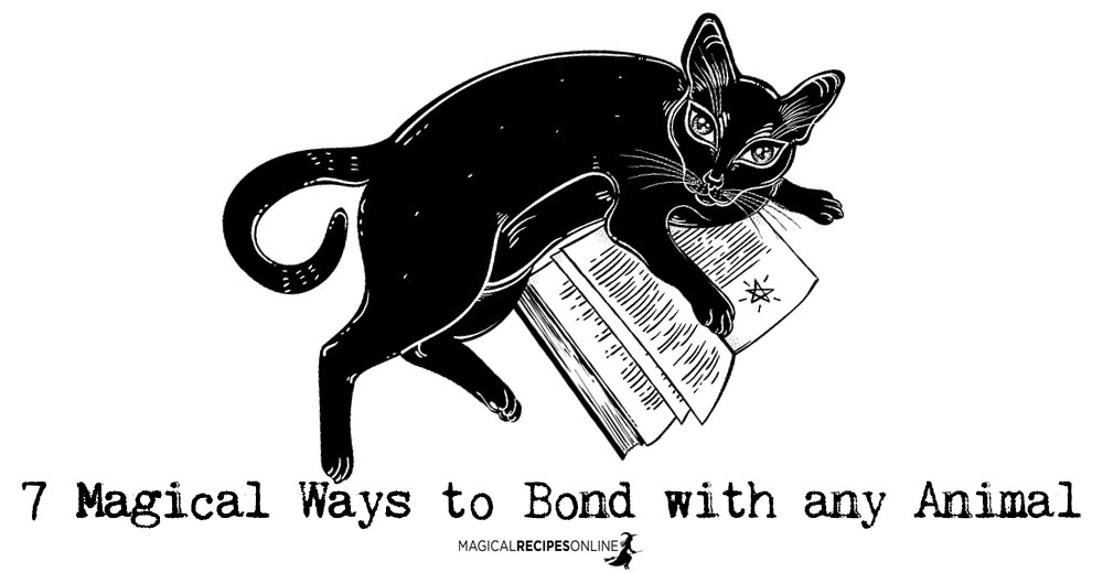 7 Magical Ways to Bond with any Animal