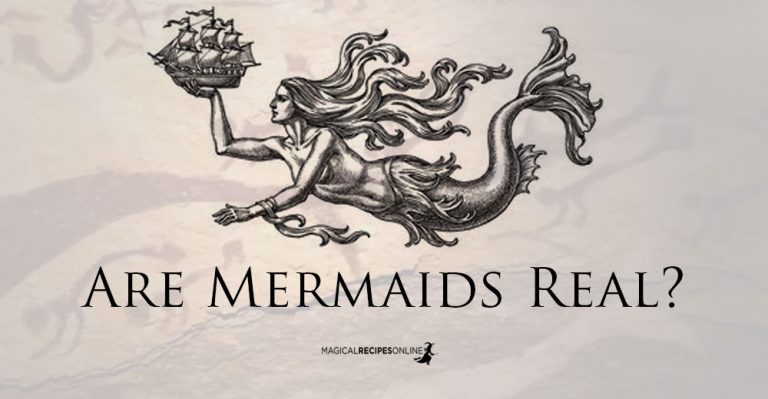 Are Mermaids Real ? (Quick Answer: YES!)