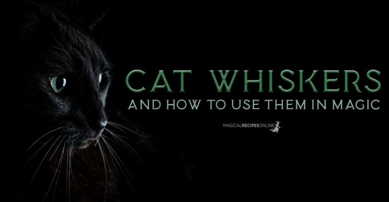 Cat Whiskers & Witchcraft