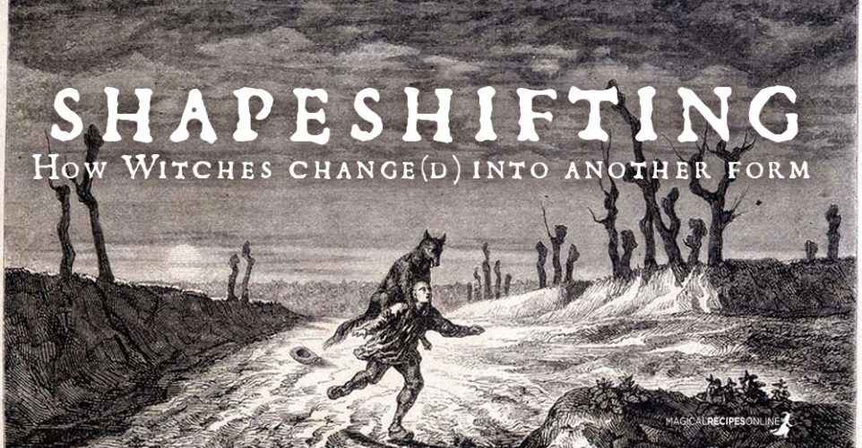 Shapeshifting Ritual Shapeshifting. How Witches Change(d) into another Form - Magical ...