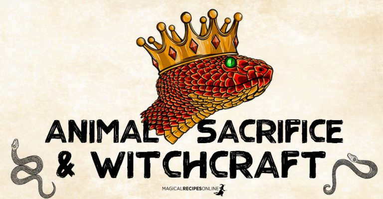 Animal Sacrifice and Witchcraft