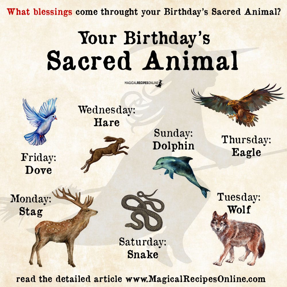 Spirit Animal of your Day of Birth