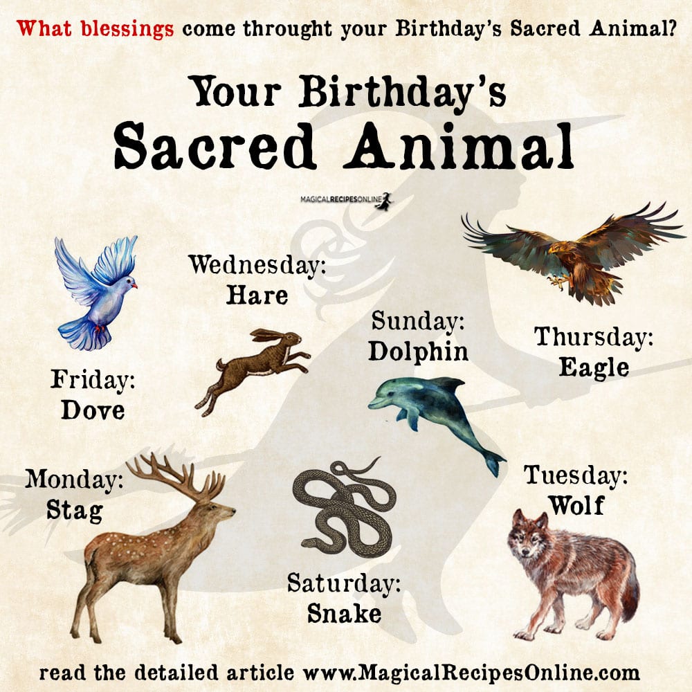 Spirit Animal of your Day of Birth
