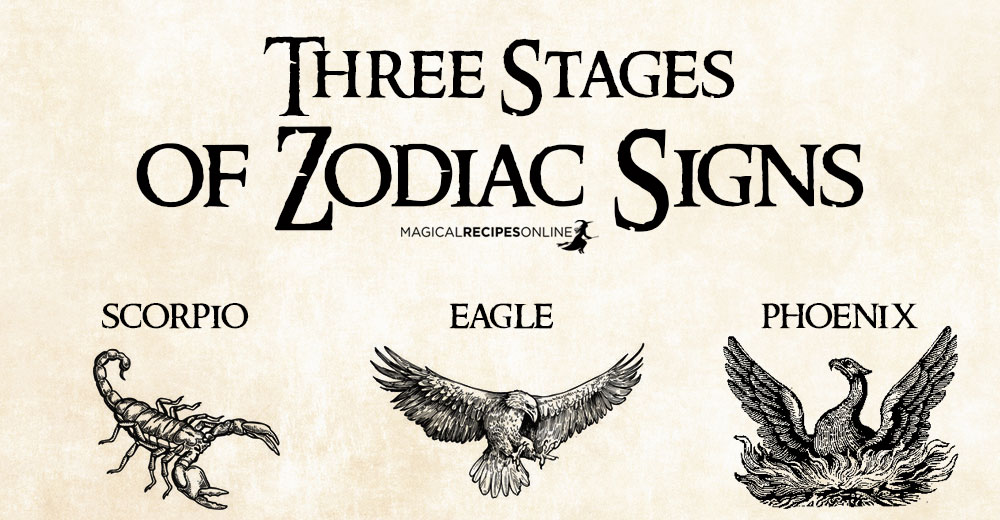 Stages of Zodiac Signs