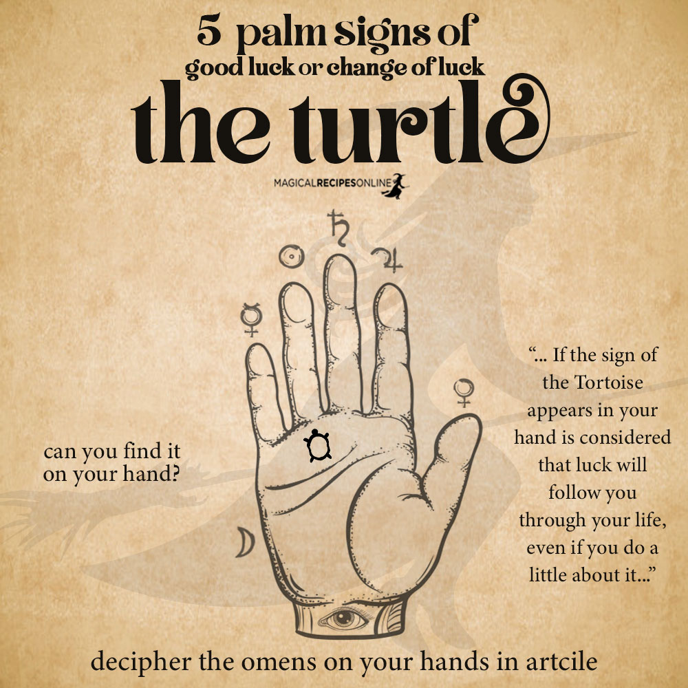 turtle sign palmistry - lucky signs