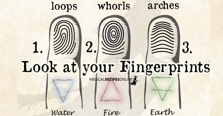 Fingerprints Palmistry
