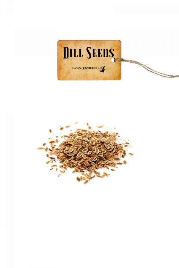 dill-seeds-1.jpg
