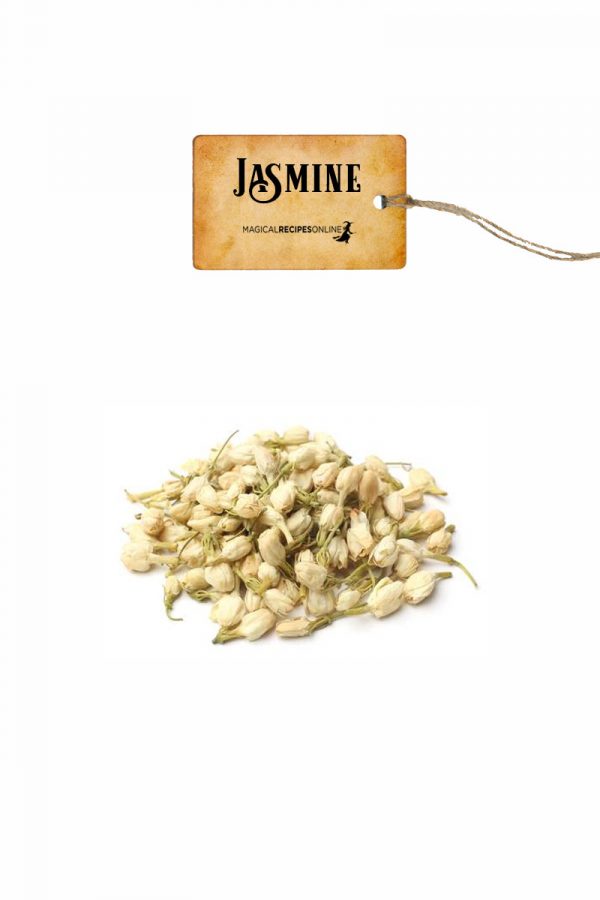 jasmine-2.jpg