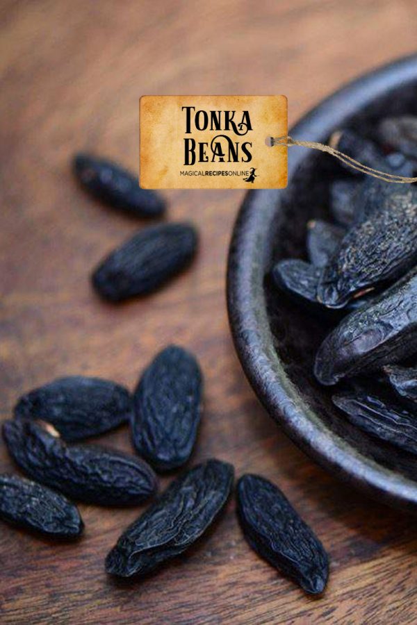 tonka-beans-1.jpg