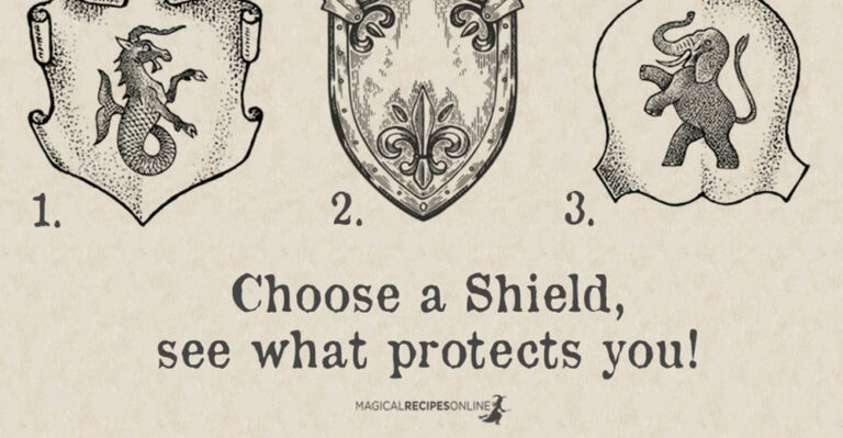 Test: Choose a Shield, see what protects you!