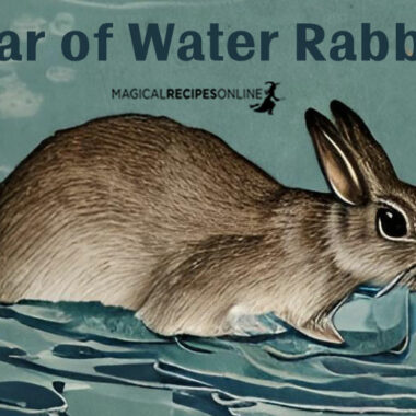 Year of the Water Rabbit 2023 – Chinese Astrology Predictions