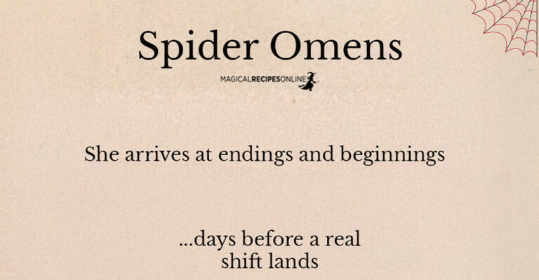 Why Spiders Keep Finding You: Spider Omens Most People Ignore